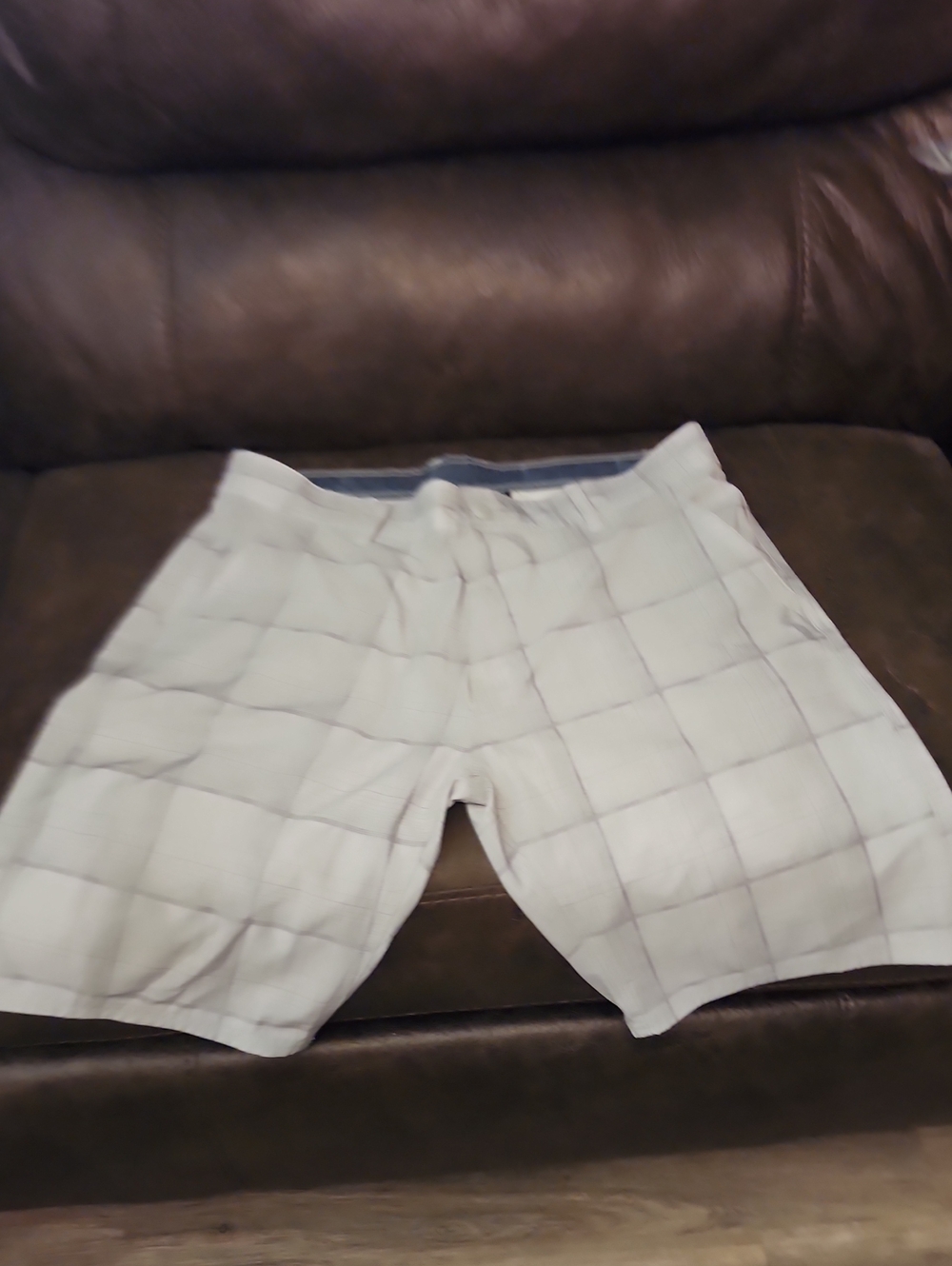 burnside Light Gray Plaid Men's Shorts